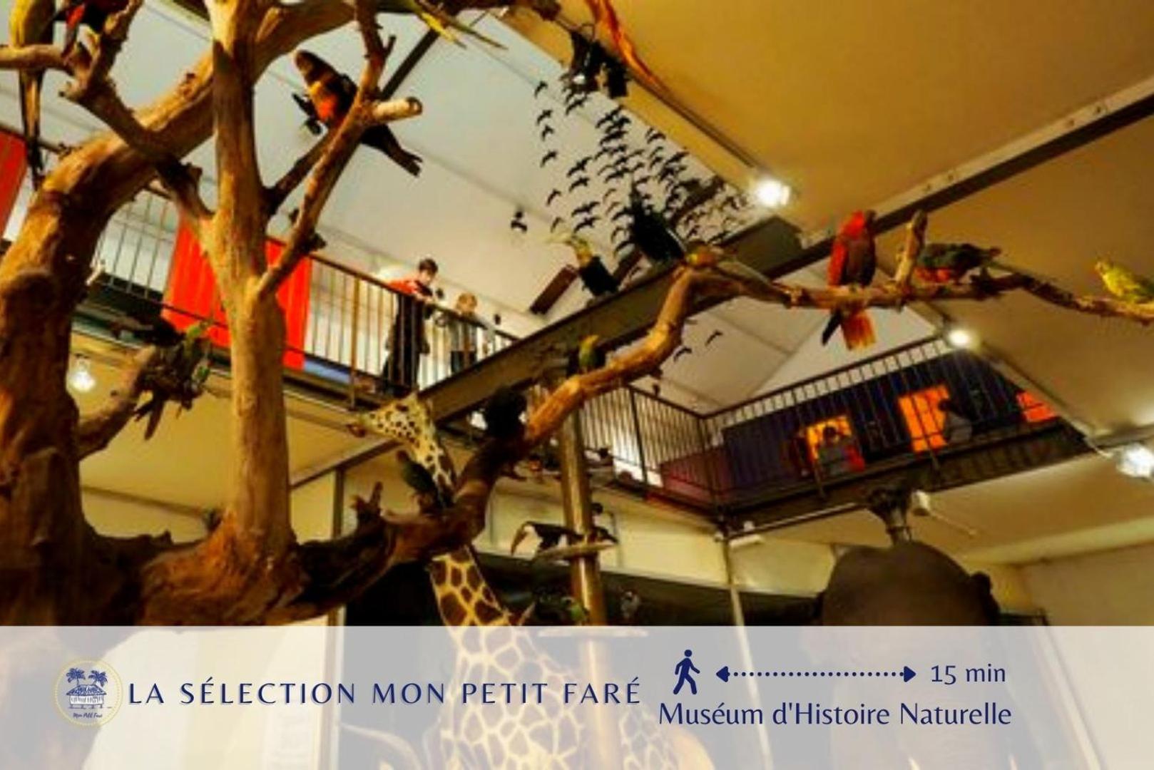 Paradis Des Poutres - Renove & Centre-Ville بورج المظهر الخارجي الصورة